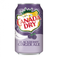 canada-dry-blackberry-ginger-ale-12fl-oz-355ml